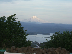 view of hood from camas